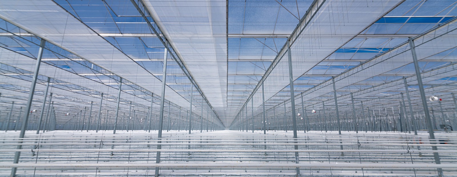 Greenhouse Shade Blind Systems Chatham-Kent Ontario