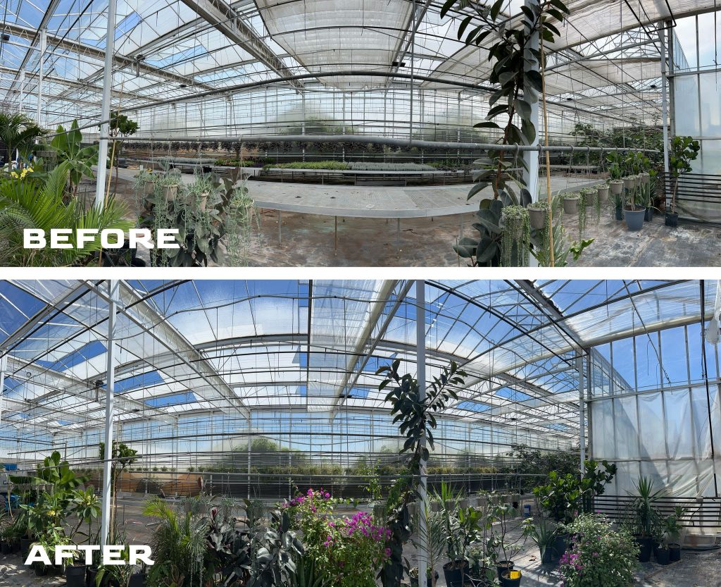 before after