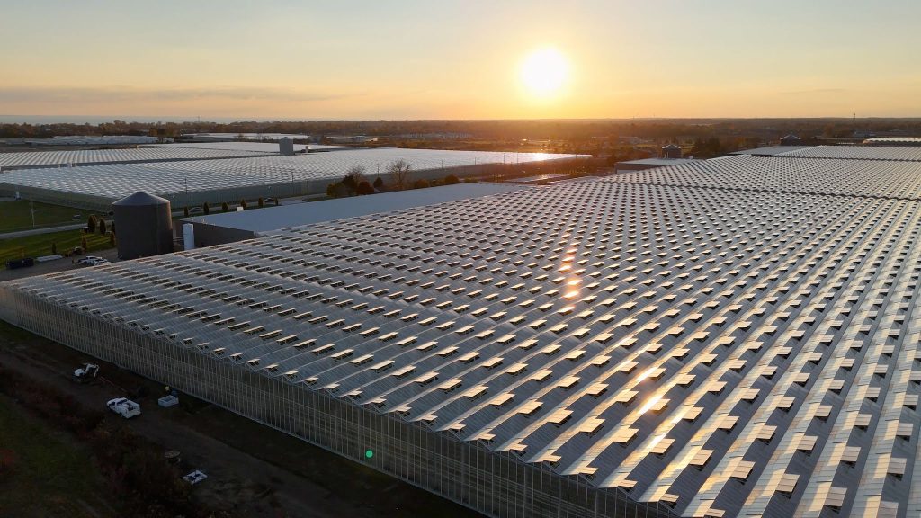 boemberry aerial greenhouse